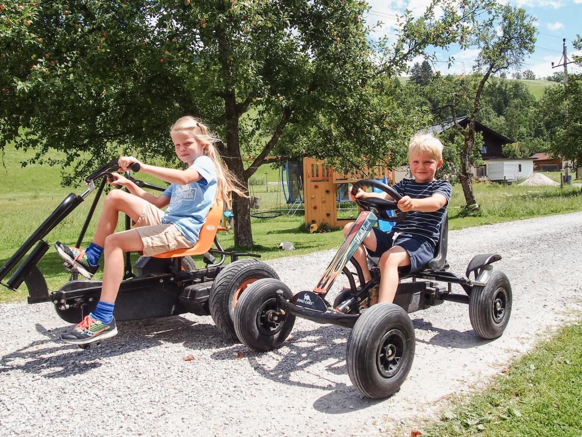 Ferienwohnung Biobauernhof Stegerbauer Maria Alm am Steinernen Meer Exterior foto