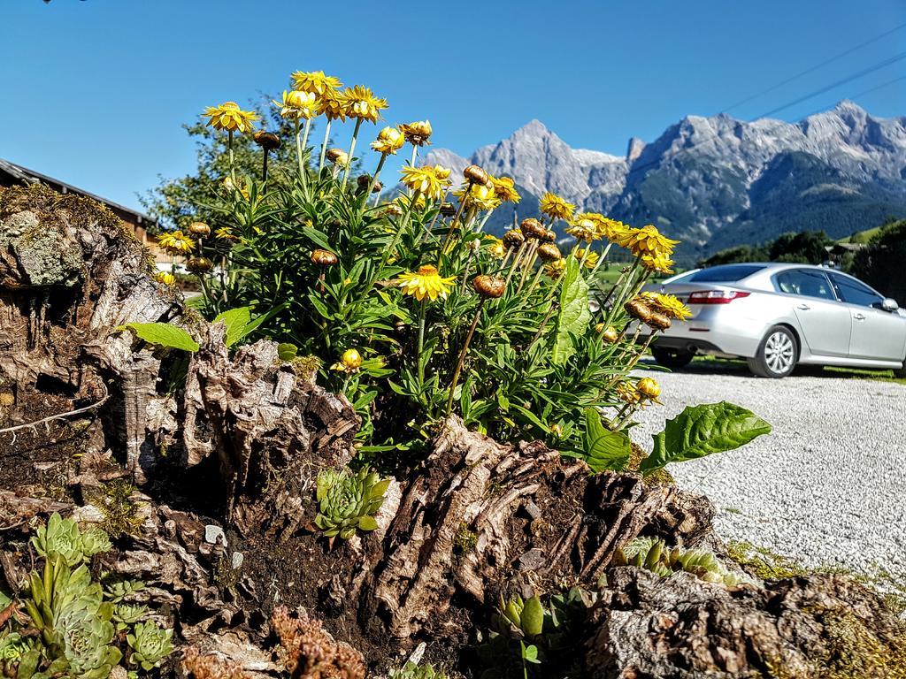 Ferienwohnung Biobauernhof Stegerbauer Maria Alm am Steinernen Meer Exterior foto