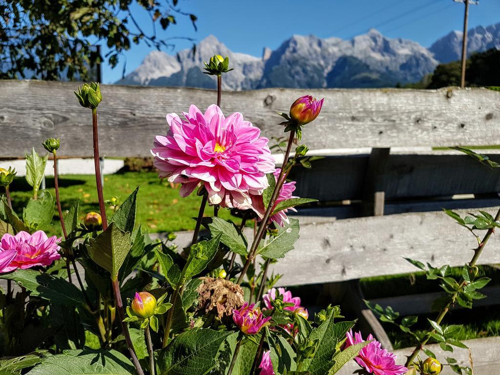 Ferienwohnung Biobauernhof Stegerbauer Maria Alm am Steinernen Meer Exterior foto