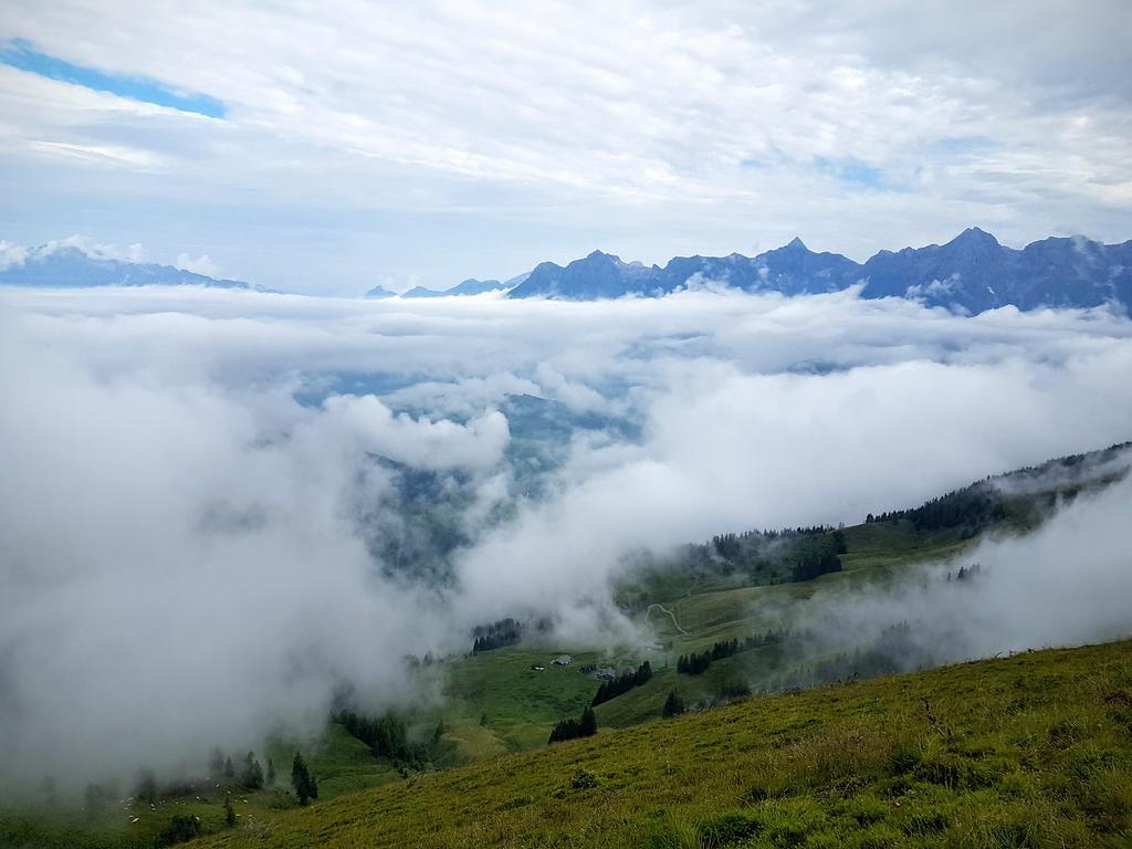 Ferienwohnung Biobauernhof Stegerbauer Maria Alm am Steinernen Meer Exterior foto