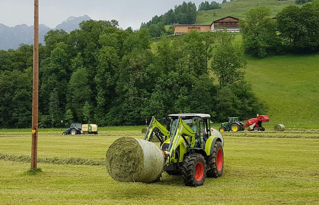Ferienwohnung Biobauernhof Stegerbauer Maria Alm am Steinernen Meer Exterior foto