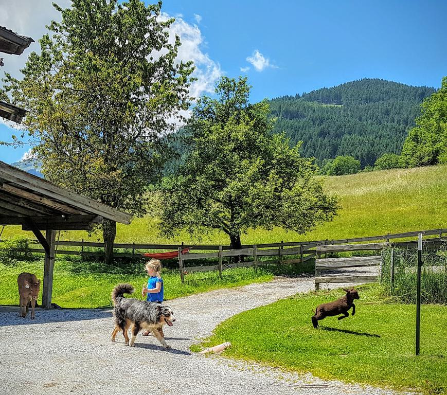 Ferienwohnung Biobauernhof Stegerbauer Maria Alm am Steinernen Meer Exterior foto