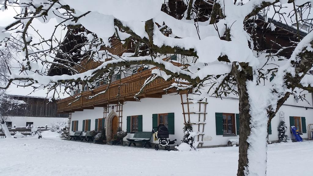 Ferienwohnung Biobauernhof Stegerbauer Maria Alm am Steinernen Meer Exterior foto