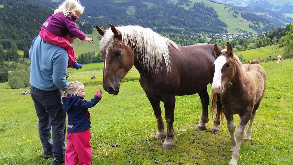 Ferienwohnung Biobauernhof Stegerbauer Maria Alm am Steinernen Meer Exterior foto